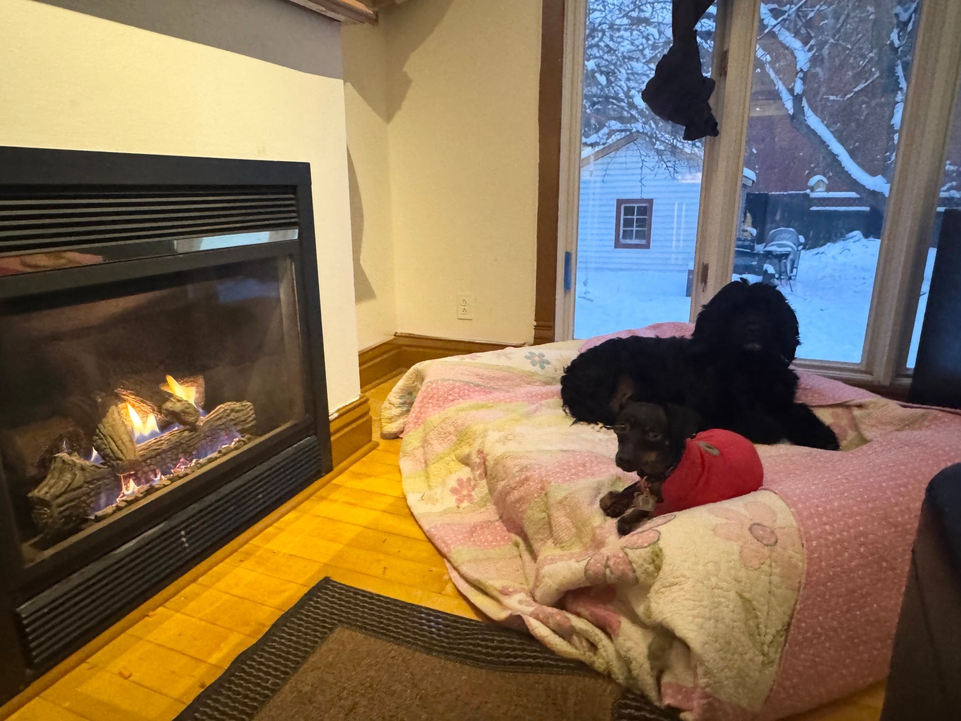 Two dogs resting on a blanket near a cozy fireplace with snow visible outside through the window.