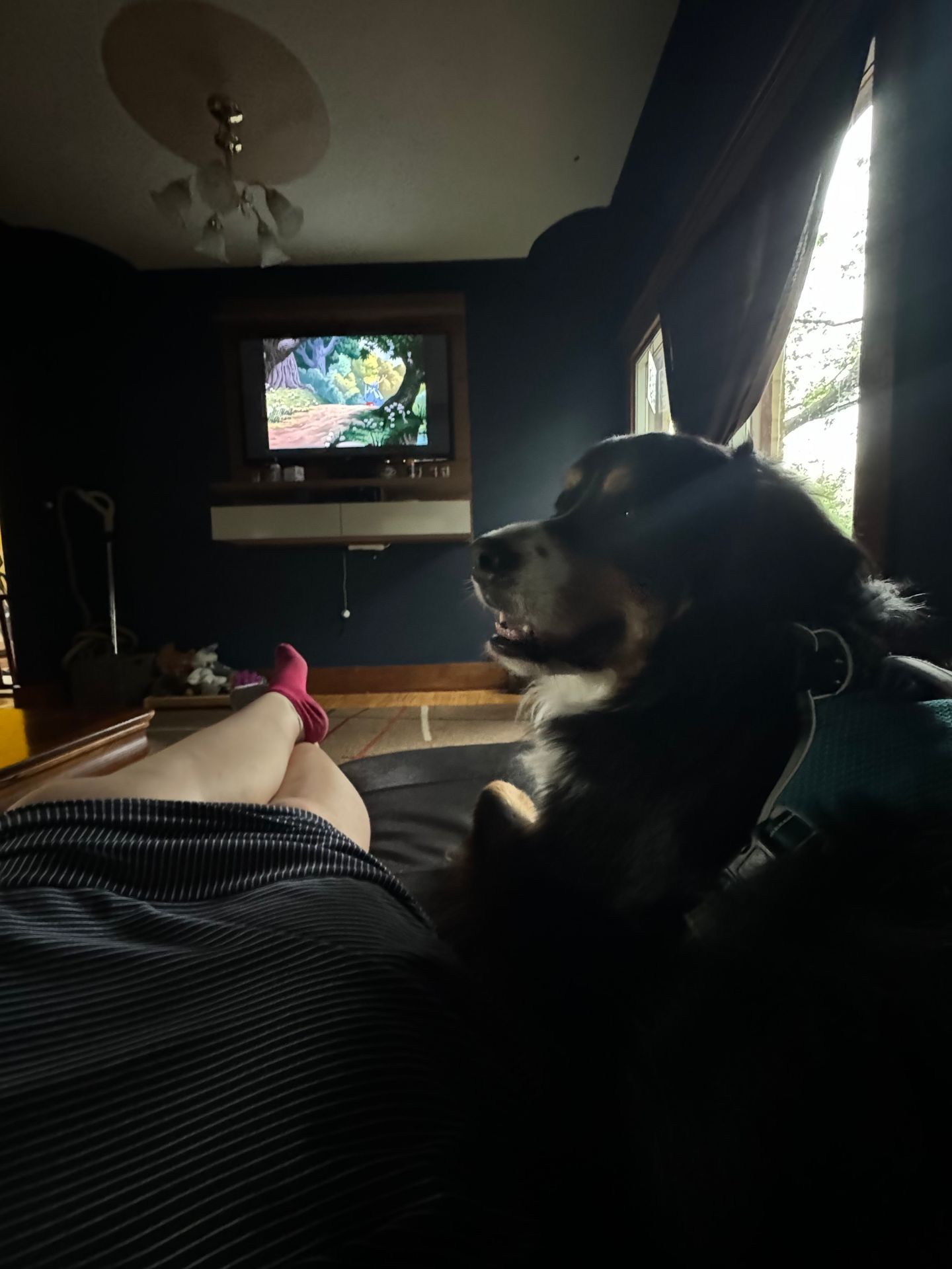 Person lounging with a dog watching TV in a dimly lit living room.